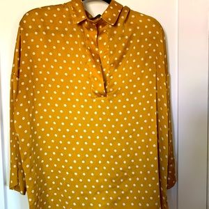 Zara Polkadot Blouse
